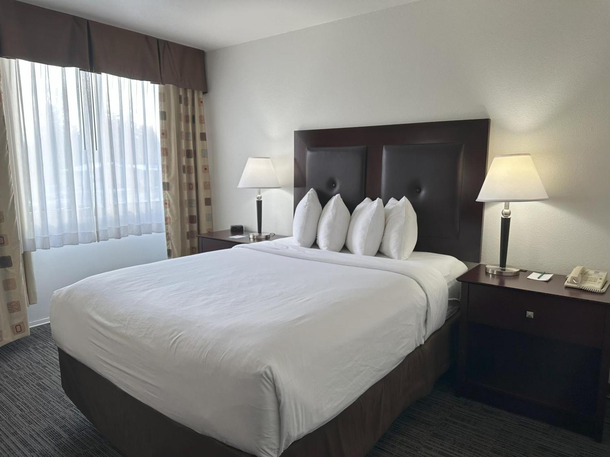 Quality Inn & Suites Эверетт Экстерьер фото